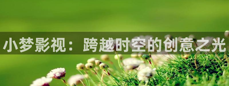 秋霞高清视频在线