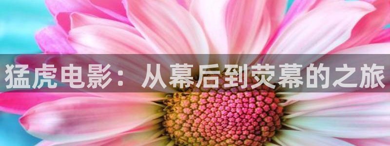 秋霞电影天堂网：猛虎电影：从幕后到荧幕的之旅