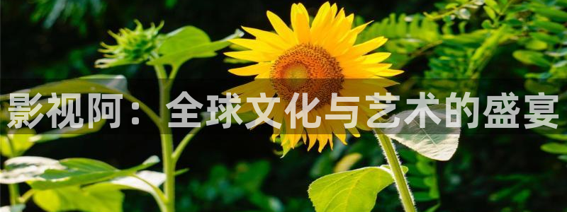秋霞撸丝片在线观看
