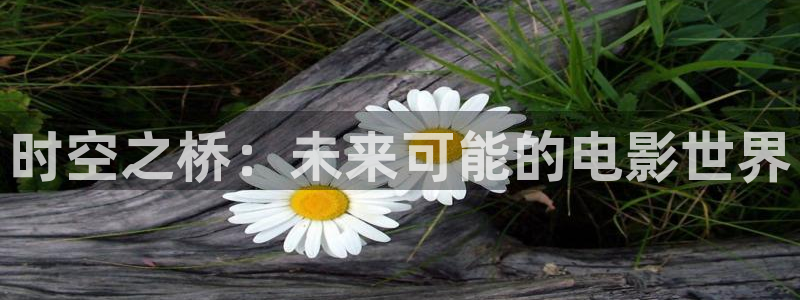 秋霞影院 八度影院