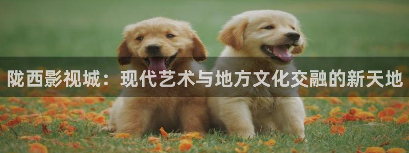 秋霞电影新址：陇西影视城：现代艺术与地方文化交融的新天地