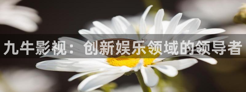 秋霞飘雪网：九牛影视：创新娱乐领域的领导者