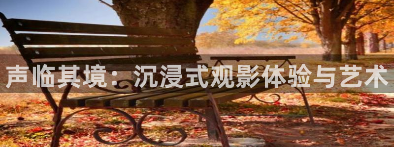 秋霞手机理论电影网