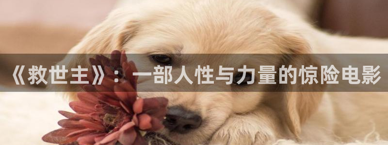 2016最新秋霞电影：《救世主》：一部人性与力量的惊险电影