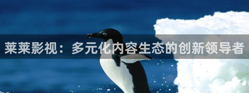 秋霞网在线免费播放
