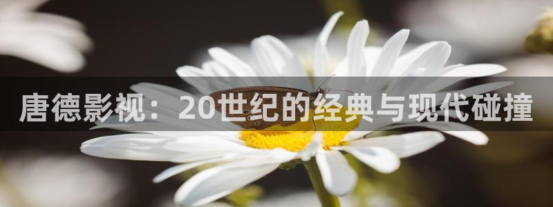 eeuss影院秋霞网：唐德影视：20世纪的经典与现代碰撞
