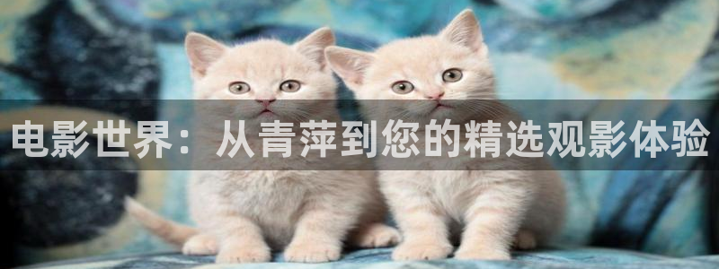 秋霞网原来的：电影世界：从青萍到您的精选观影体验
