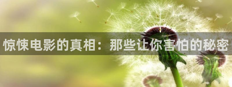 秋霞西瓜影院：惊悚电影的真相：那些让你害怕的秘密