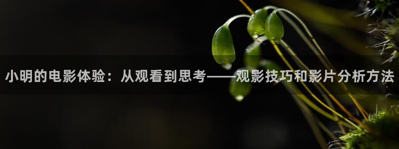 秋霞电影在线观看秋：小明的电影体验：从观看到思考——观影技巧和影片分析方法