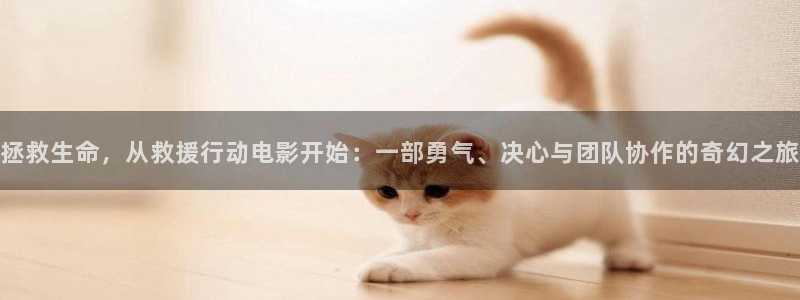夏同学之秋霞影院：拯救生命，从救援行动电影开始：一部勇气、决心与团队协作的奇幻之旅
