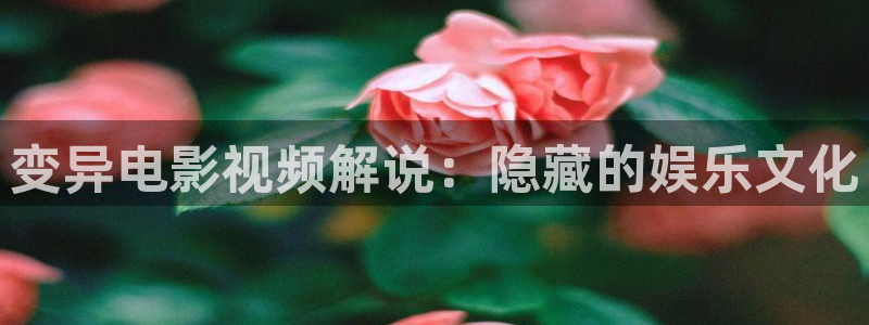 秋霞电影樱花动漫：变异电影视频解说：隐藏的娱乐文化