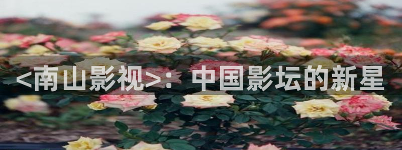 在线秋霞电影网：<南山影视>：中国影坛的新星