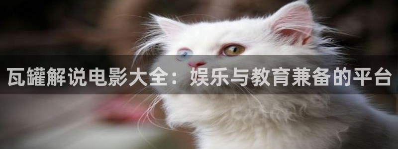 秋霞免费网站：瓦罐解说电影大全：娱乐与教育兼备的平台