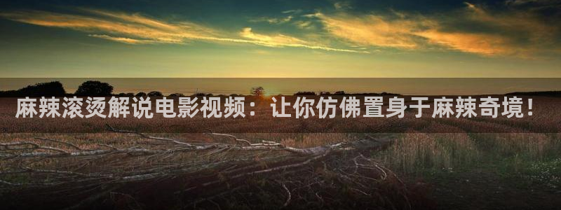 秋霞视频 在线观看：麻辣滚烫解说电影视频：让你仿佛置身于麻辣奇境！