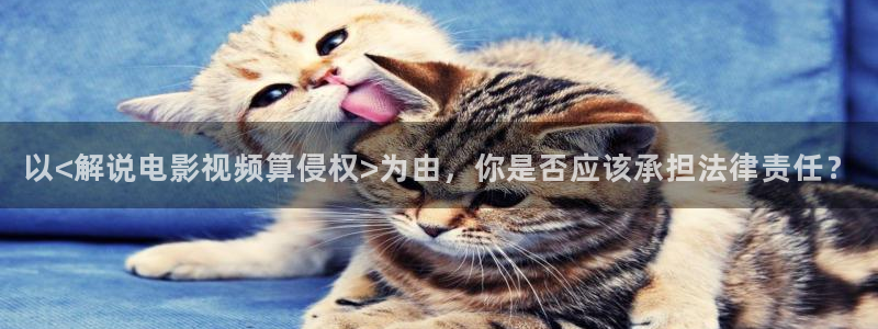 秋霞网中文：以<解说电影视频算侵权>为由，你是否应该承担法律责任？