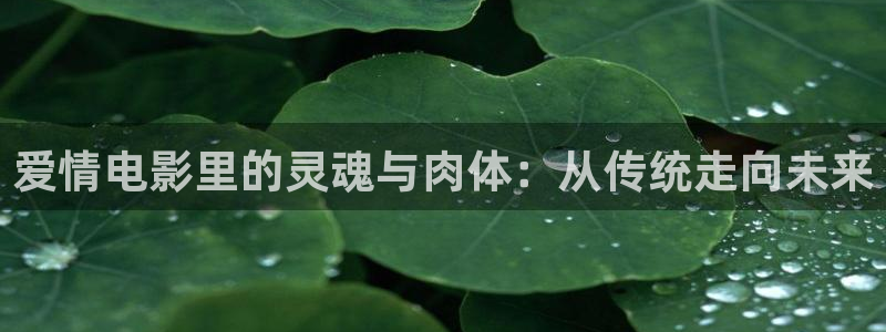 秋霞电影 鲁丝：爱情电影里的灵魂与肉体：从传统走向未来