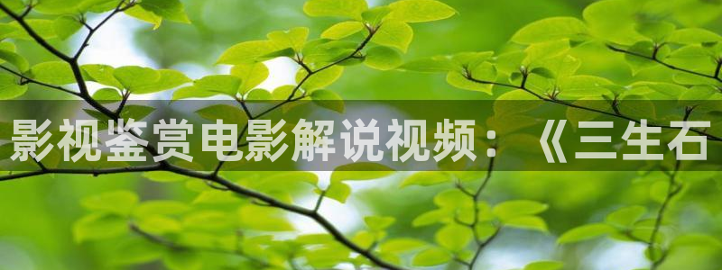 新秋霞伦理片：影视鉴赏电影解说视频：《三生石