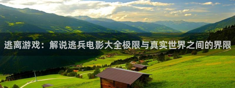 秋霞网神马