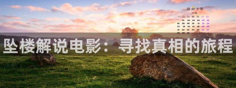 秋霞影视盒：坠楼解说电影：寻找真相的旅程