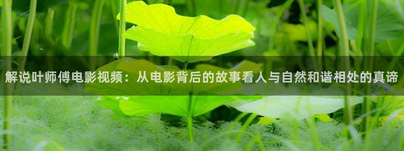 秋霞爱电影：解说叶师傅电影视频：从电影背后的故事看人与自然和谐相处的真谛