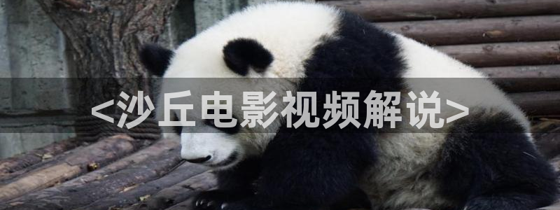 秋霞电影破处：<沙丘电影视频解说>