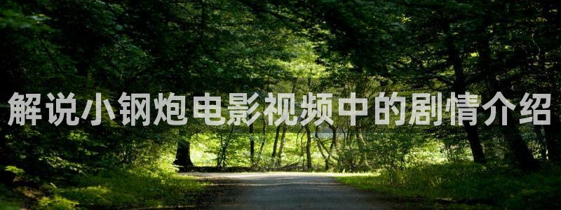 秋霞电影26：解说小钢炮电影视频中的剧情介绍
