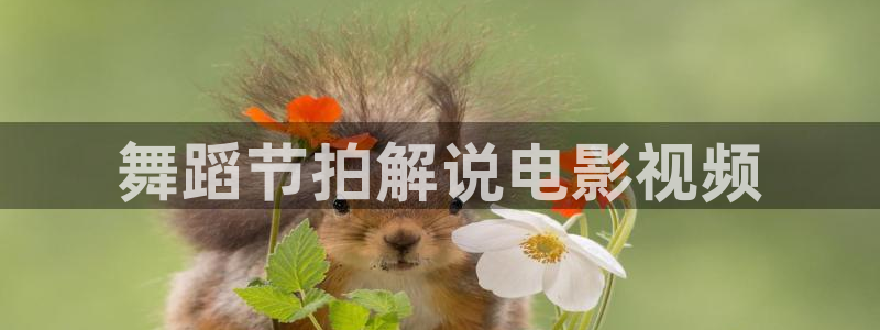 秋霞电理网：舞蹈节拍解说电影视频