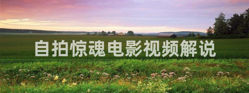 秋霞神马福利影院：自拍惊魂电影视频解说