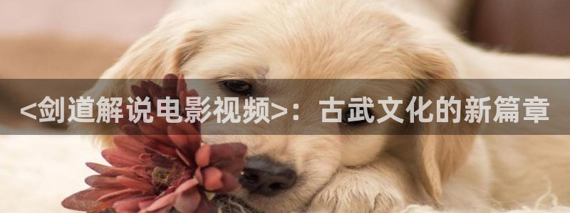 yy6080秋霞影院：<剑道解说电影视频>：古武文化的新篇章