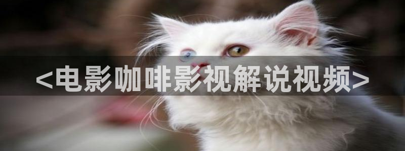 秋霞电影网新：<电影咖啡影视解说视频>