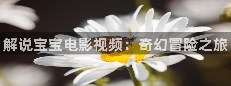 秋霞电影网飘花电影网：解说宝宝电影视频：奇幻冒险之旅