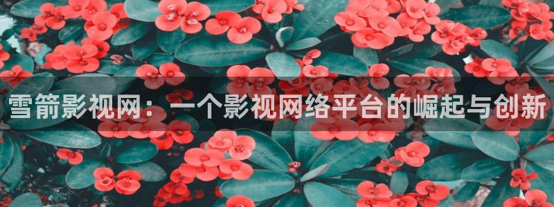 秋霞电影网被窝：雪箭影视网：一个影视网络平台的崛起与创新