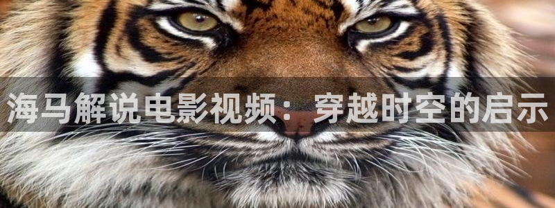 秋霞乱论影视