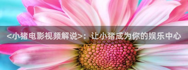 秋霞电影网免费