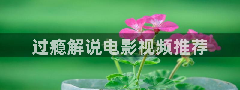 秋霞限制级电影：过瘾解说电影视频推荐