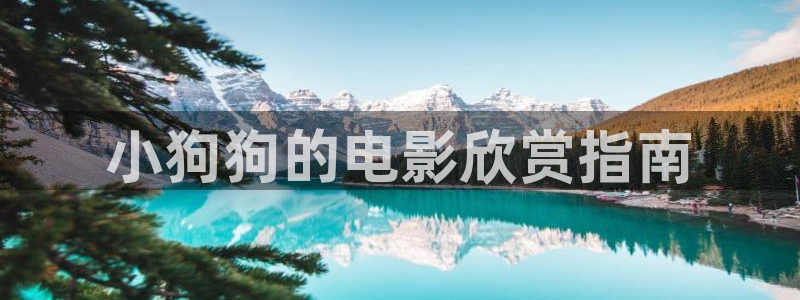 秋霞影音在线