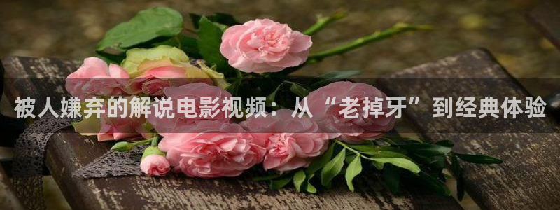 秋霞电影网在线观看免费观看