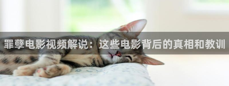 嫂子吧电影院秋霞电影网